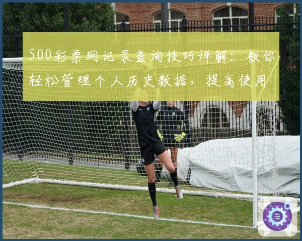 500彩票网记录查询技巧详解:教你轻松管理个人历史数据,提高使用效率