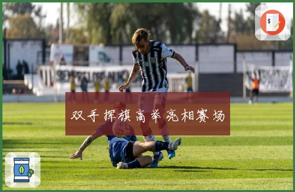 双手挥旗高举亮相赛场